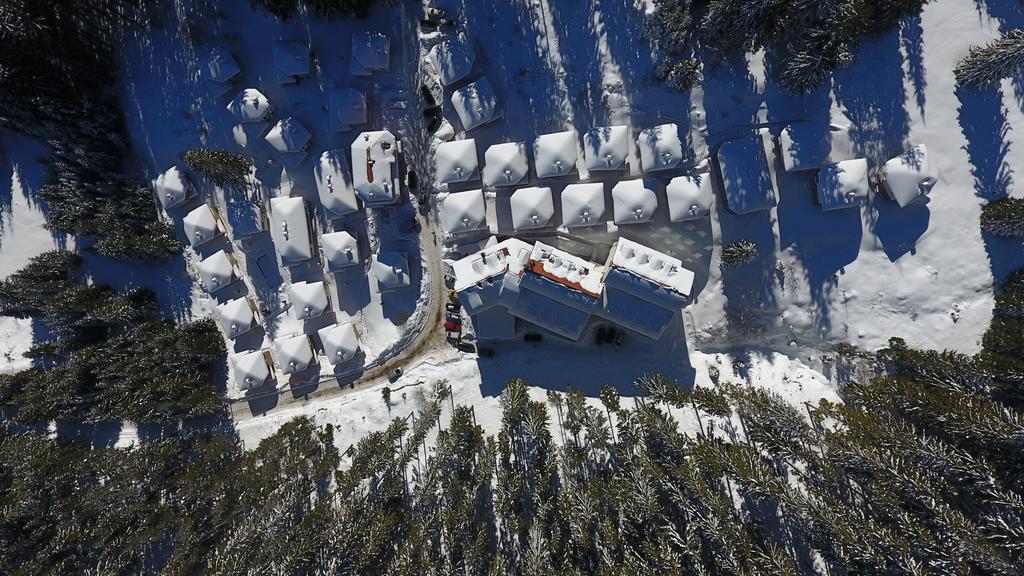 Forest Glade-Апартаменти И Стаи За Гости Pamporovo Exterior foto